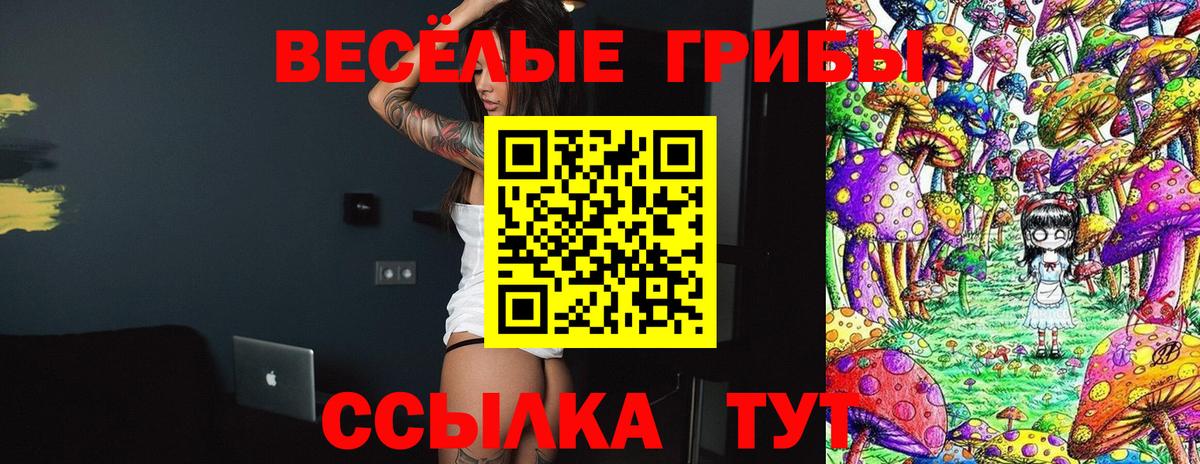 Псилоцибиновые грибы мицелий Новодвинск
