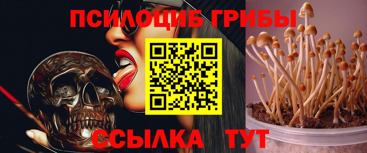 Новодвинск  Галлюциногенные грибы MAGIC MUSHROOMS  Вход с VPN 